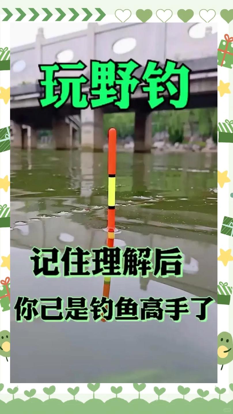 钓鱼提杆动作技巧(钓鱼提杆动作技巧和方法)