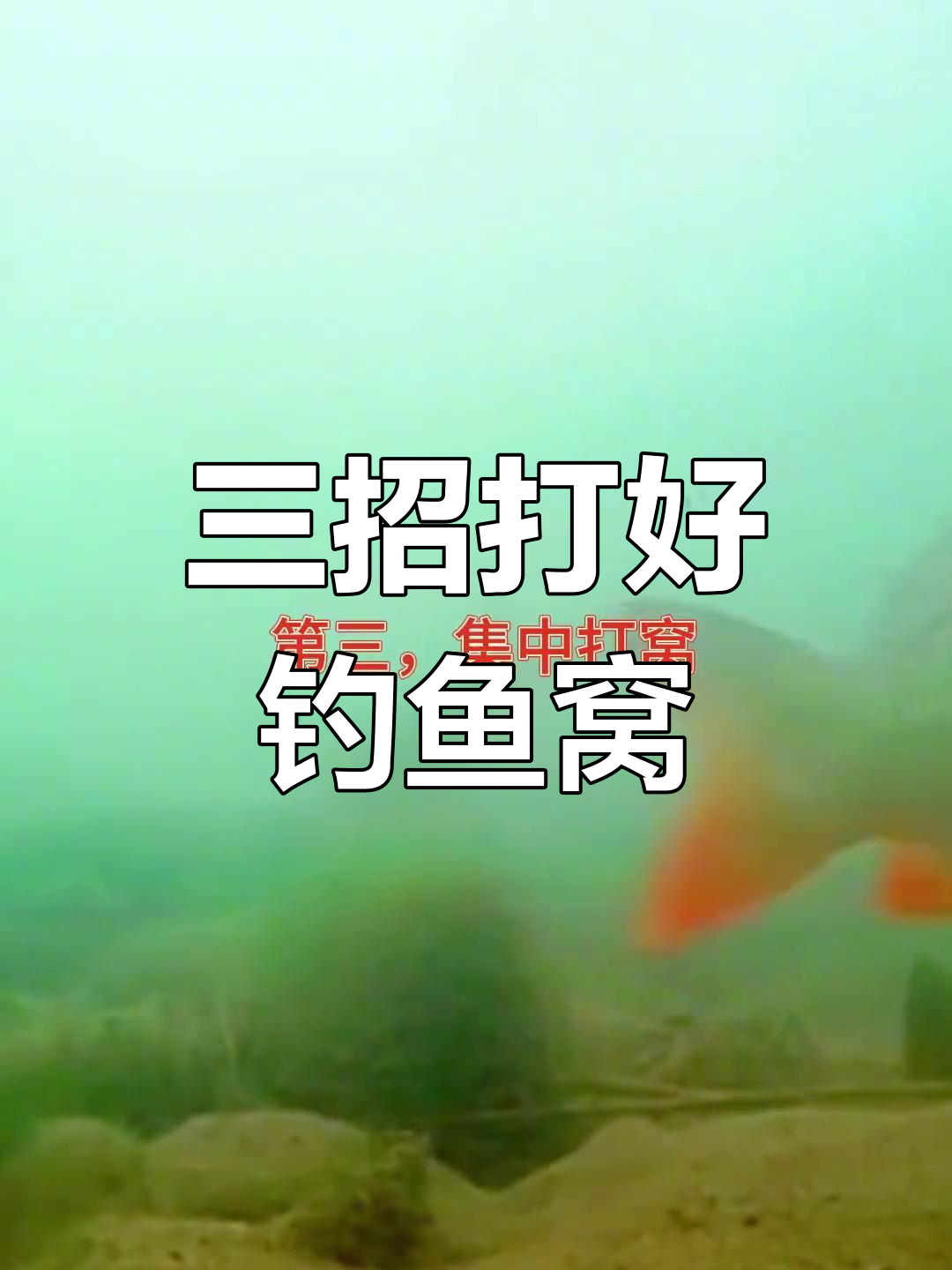 野钓鲤鱼简单打窝技巧(野钓鲤鱼怎样打窝好?)
