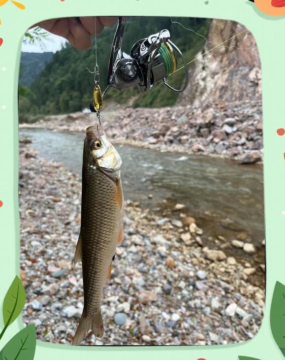 锦州海钓鱼论坛(锦州海钓鱼论坛招聘)