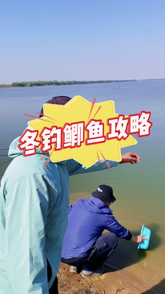 黑坑钩鲫鱼的技巧(黑坑钓鲫鱼技术要点)