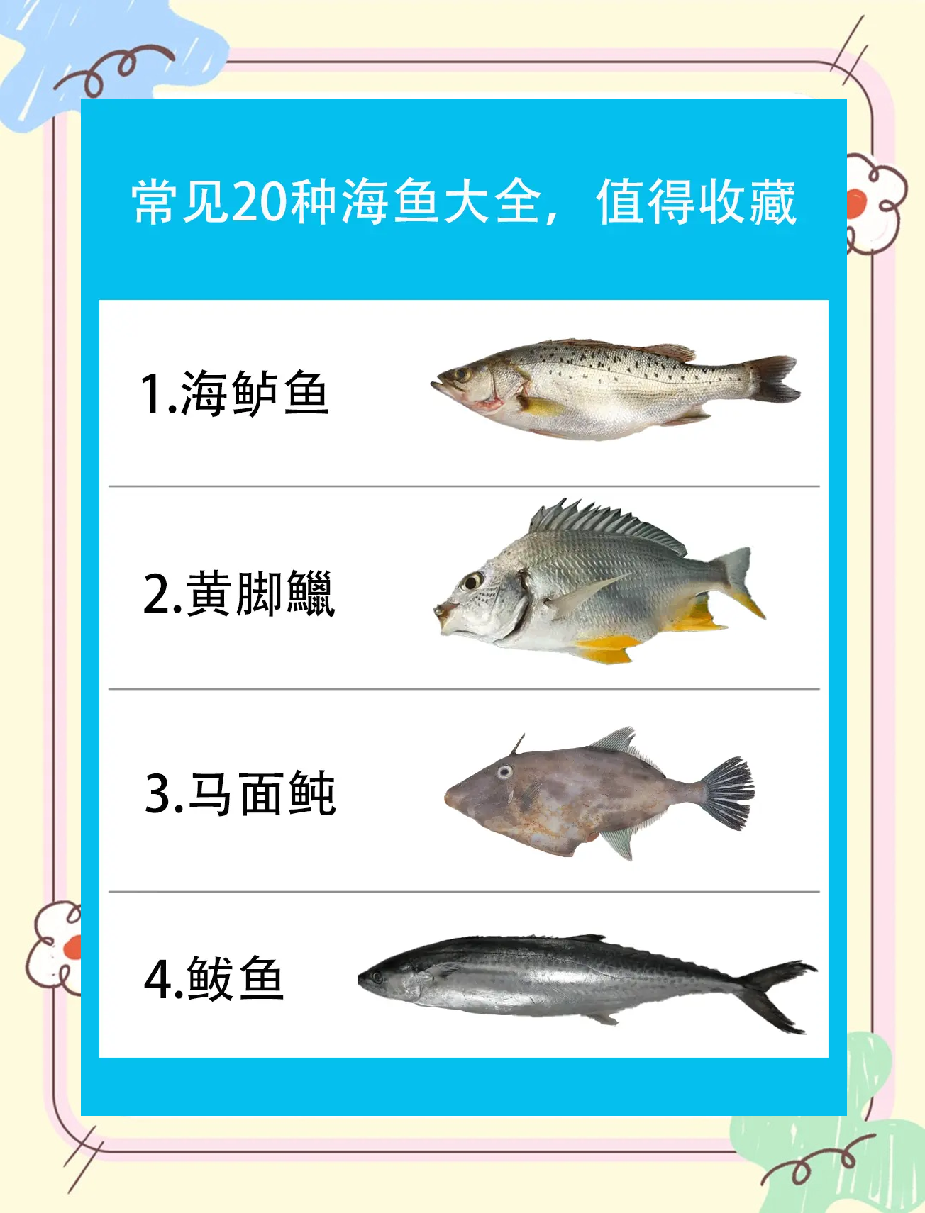 海钓鱼的分类(常见的海钓鱼)