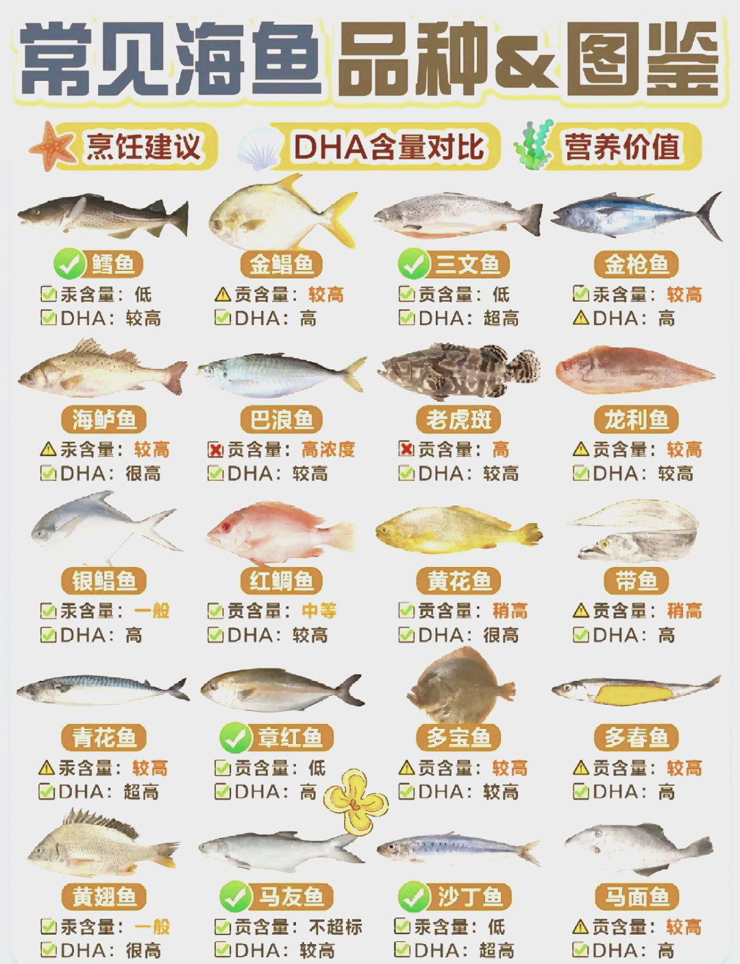 海钓鱼的分类(常见的海钓鱼)