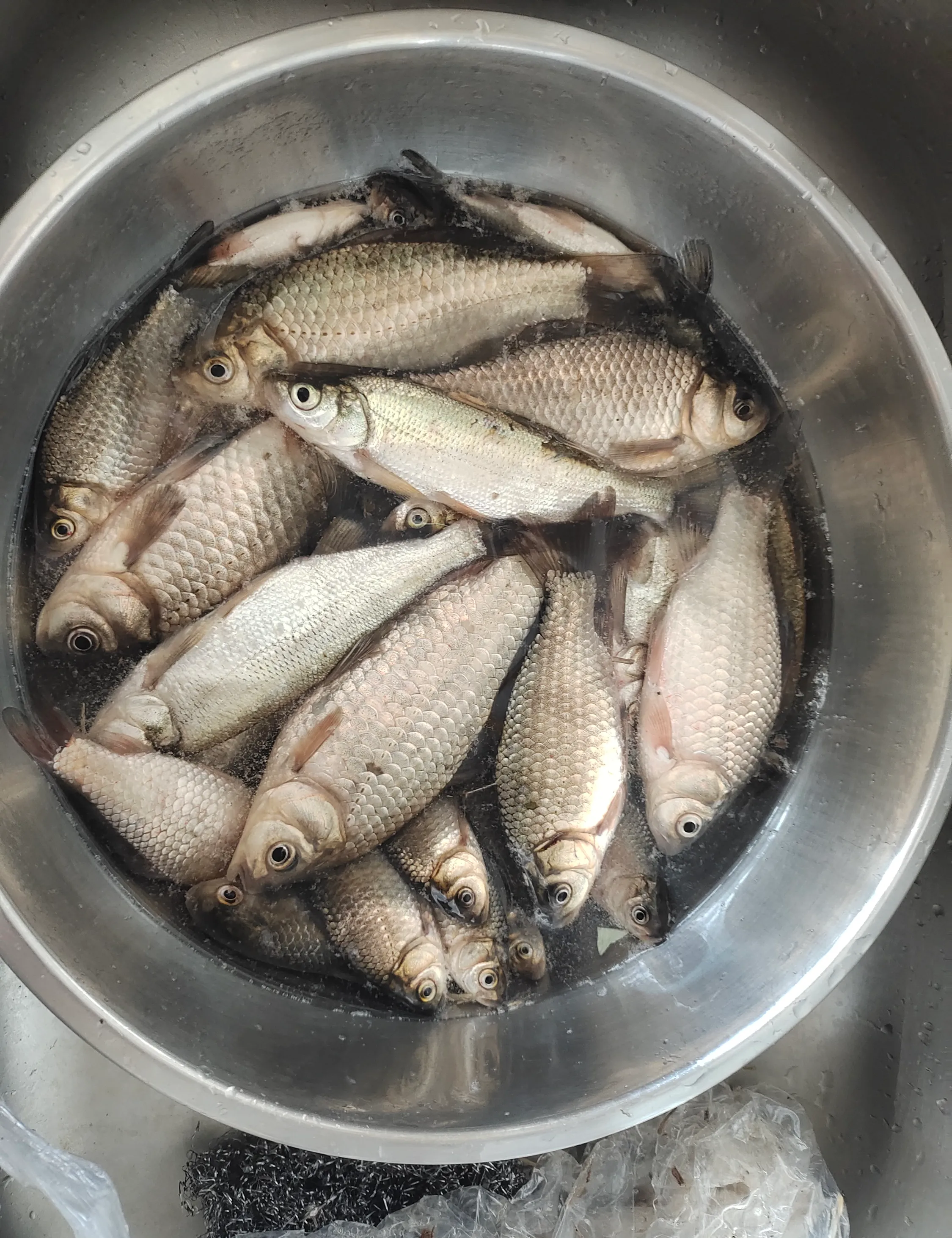 江河里钓小鱼的技巧(江河里怎么钓鱼 用什么鱼饵比较合适)