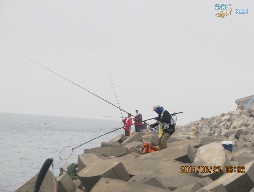 16年曹妃甸海钓鱼电话(曹妃甸海钓鱼地点哪里好)