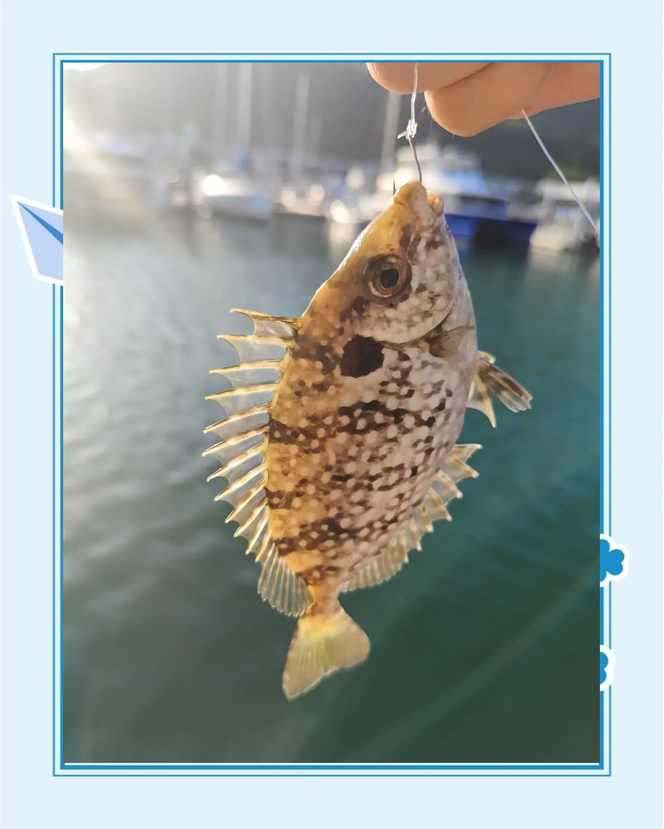 哪里海钓好(哪里海钓鱼多)