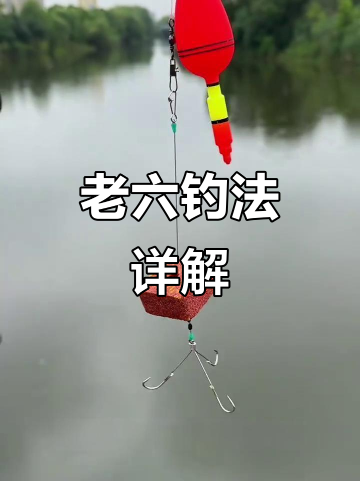 江边钓鲢鳙技巧(江边钓鲢鳙技巧和方法)
