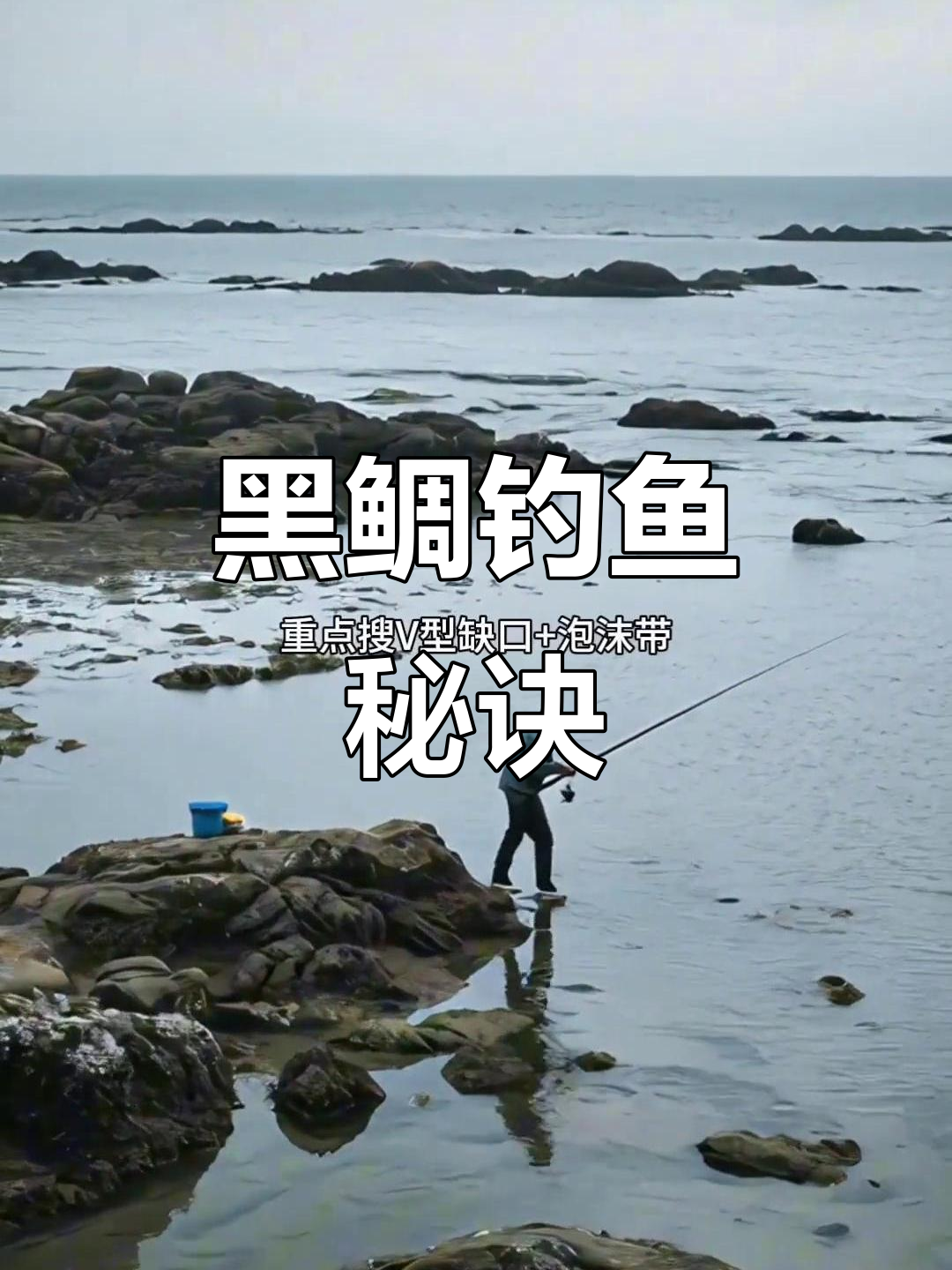 威海钓黑鲷鱼(威海钓黑鲷的时间)
