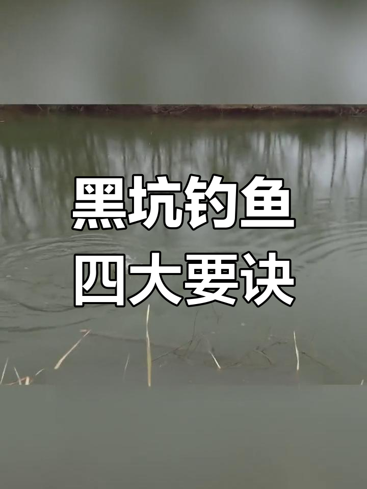 黑坑钓鲤鱼扣边技巧(黑坑扣鱼是什么意思)