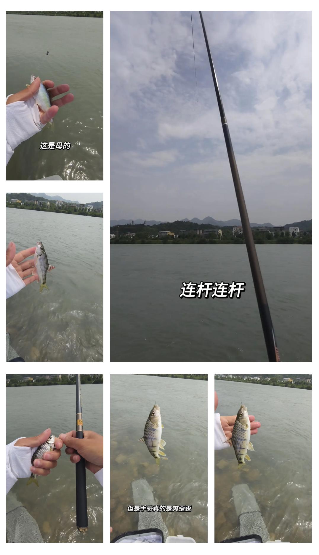 小溪里钓鱼技巧(小溪里钓鱼技巧视频)