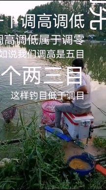 立秋后放网技巧(立秋后如何防暑)