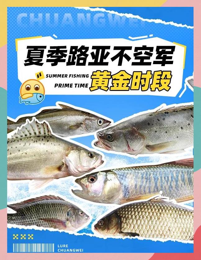 夏季下午路亚(下午路亚用什么饵)