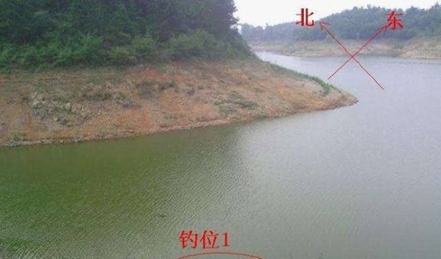 野钓鲤鱼选位技巧视频(野钓鲤鱼选位技巧视频讲解)