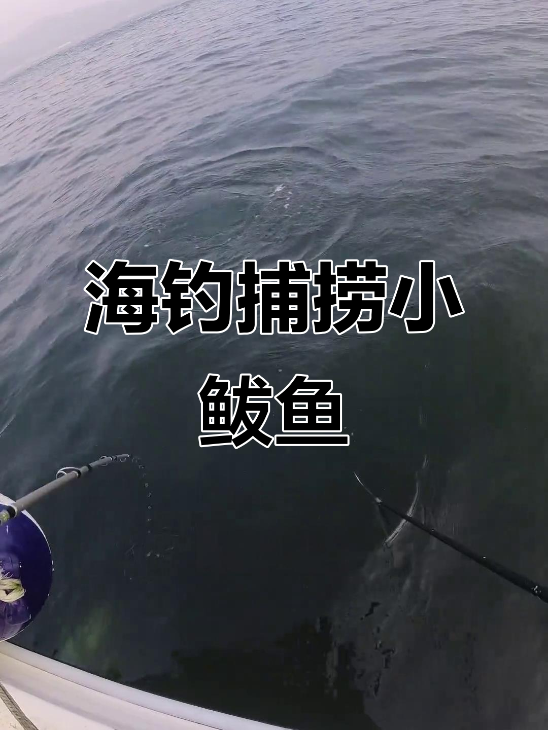 海钓鲅鱼什么时间(钓鲅鱼的最佳时间)
