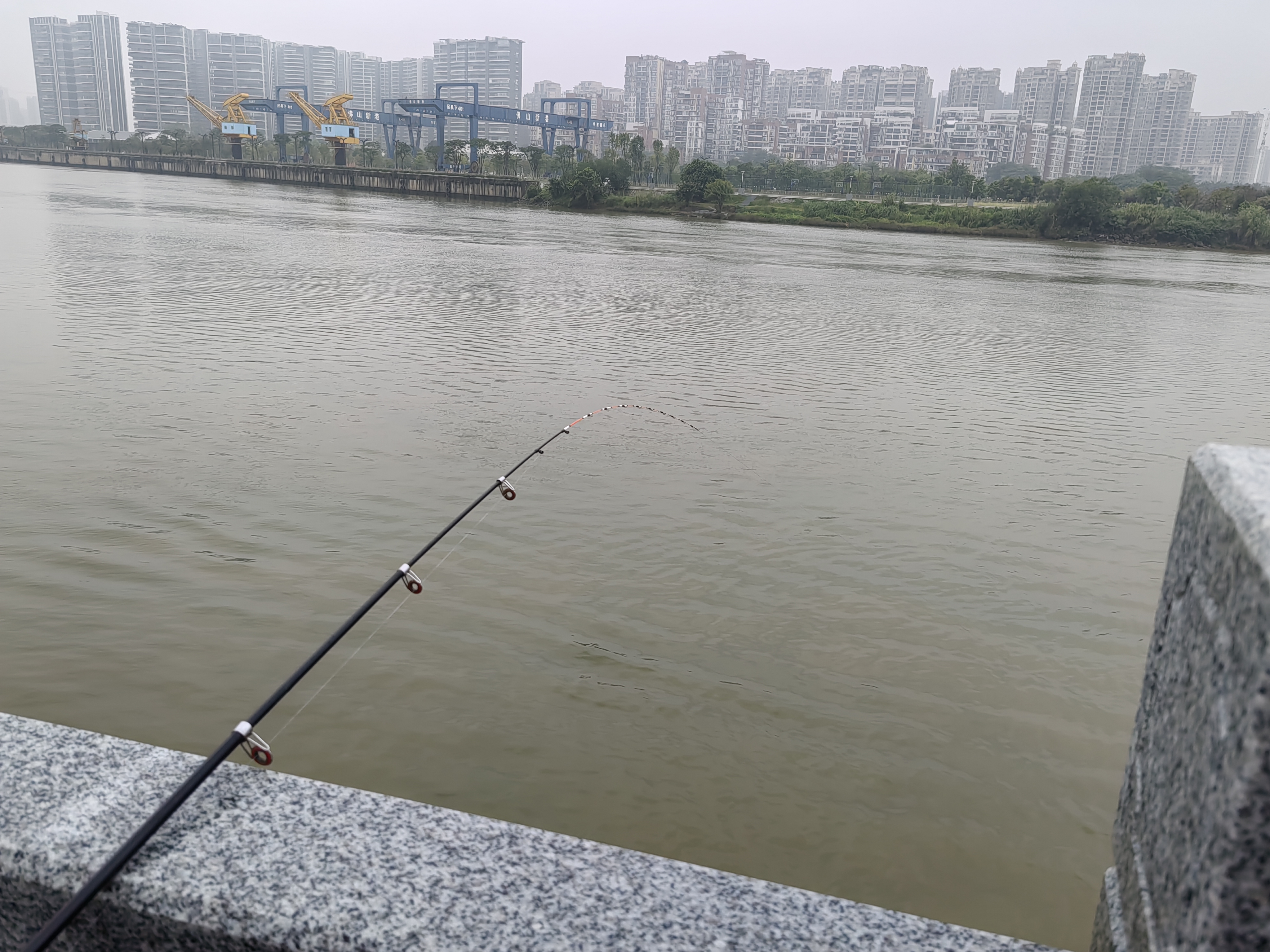 筏钓用蚯蚓技巧(桥筏蚯蚓)