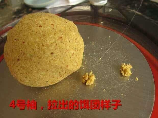 筏钓用蚯蚓技巧(桥筏蚯蚓)