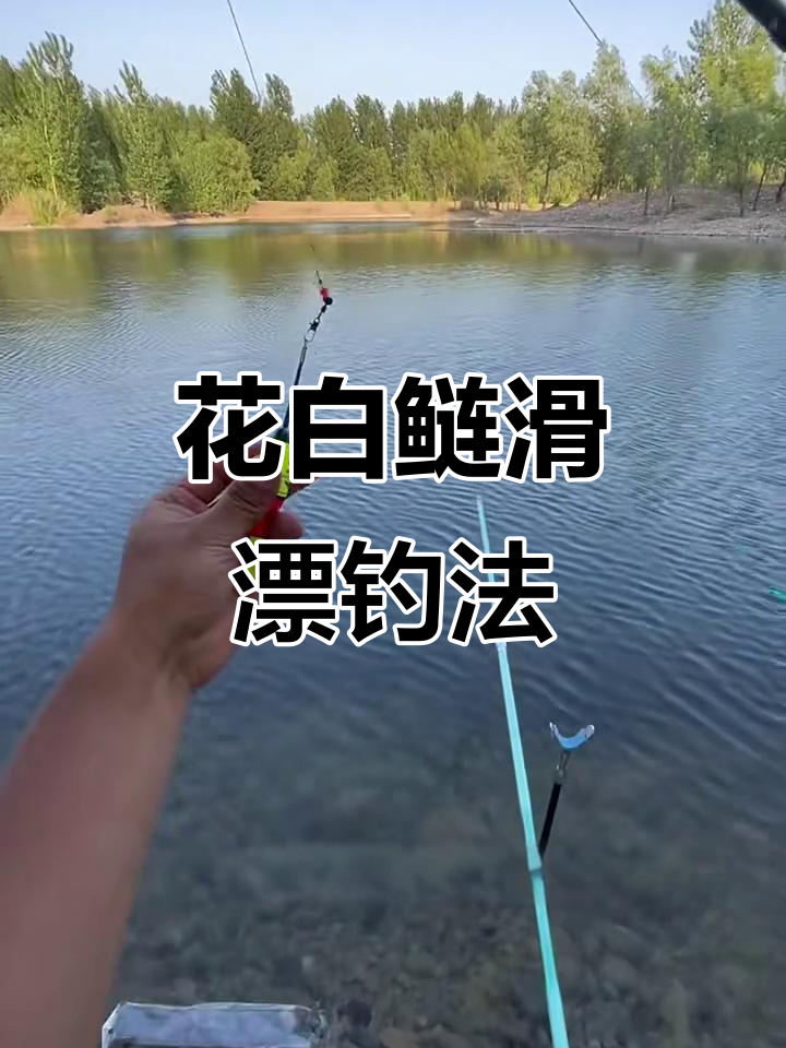 海杆秋季钓白鲢技巧(秋天用海杆怎么钓鲢鱼)