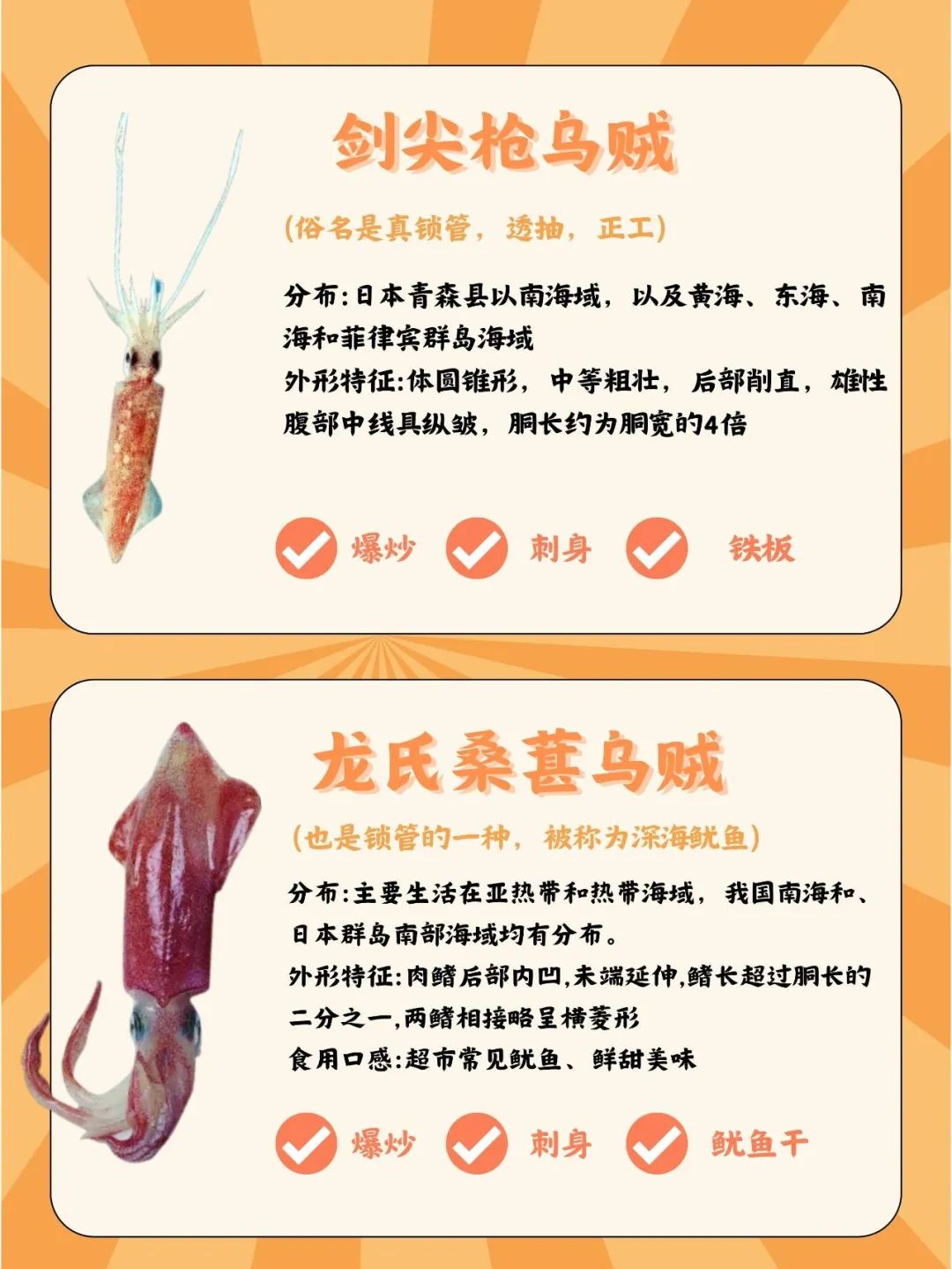海钓铁板要食吗(海钓铁板多少克合适)