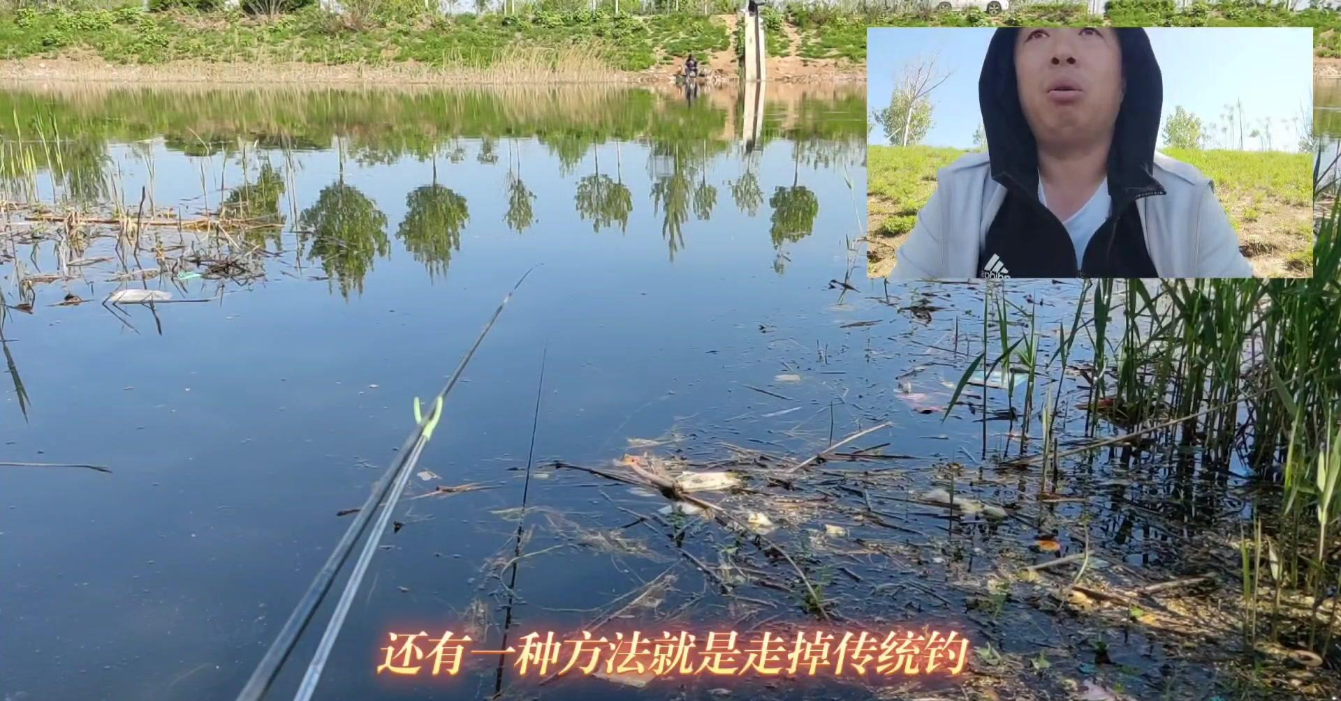 春季夜钓野钓技巧视频(春季夜钓技巧全攻略)