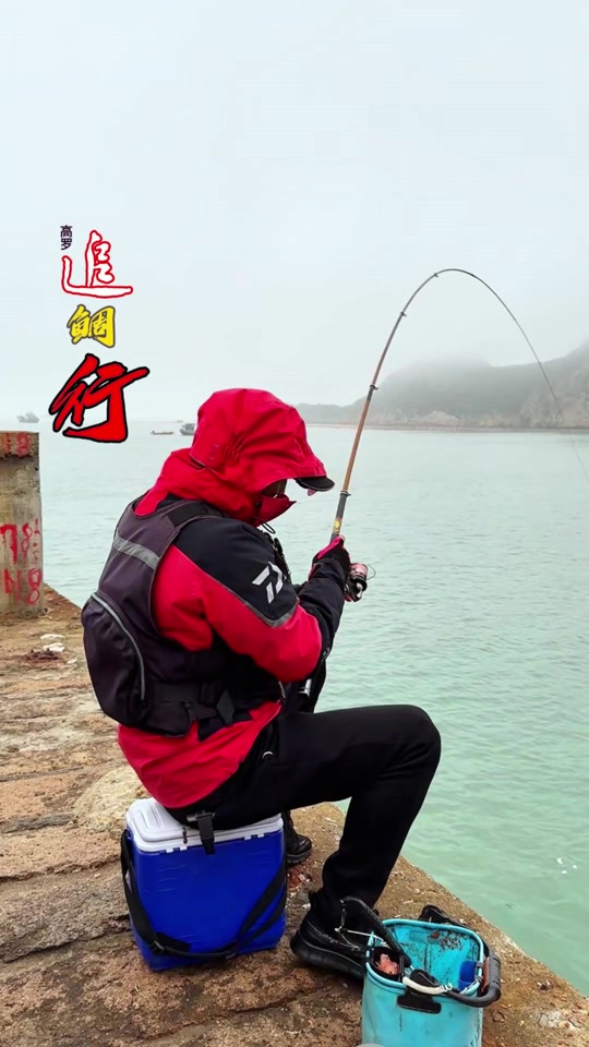 海钓阿波怎么玩(阿波海钓法图解)