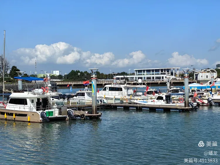 日照最好的海钓地点(日照哪里可以钓海鱼)