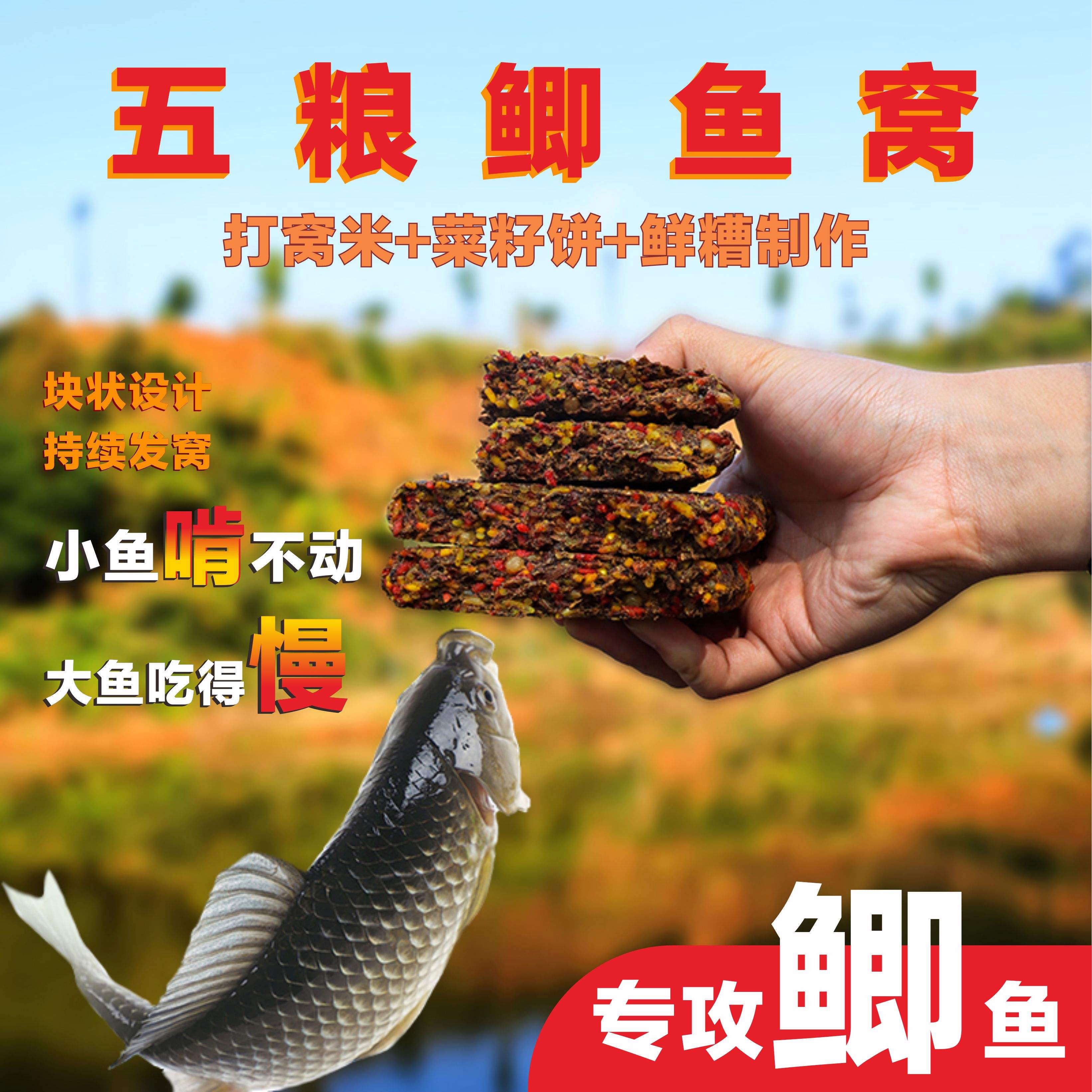 钓鱼用什么饵料打窝(钓鱼时用什么打窝)