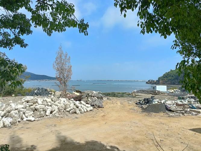 东山岛海钓鱼排(海钓黑鲷十句口诀)