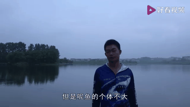 甩鱼技巧视频(甩鱼是什么意思)