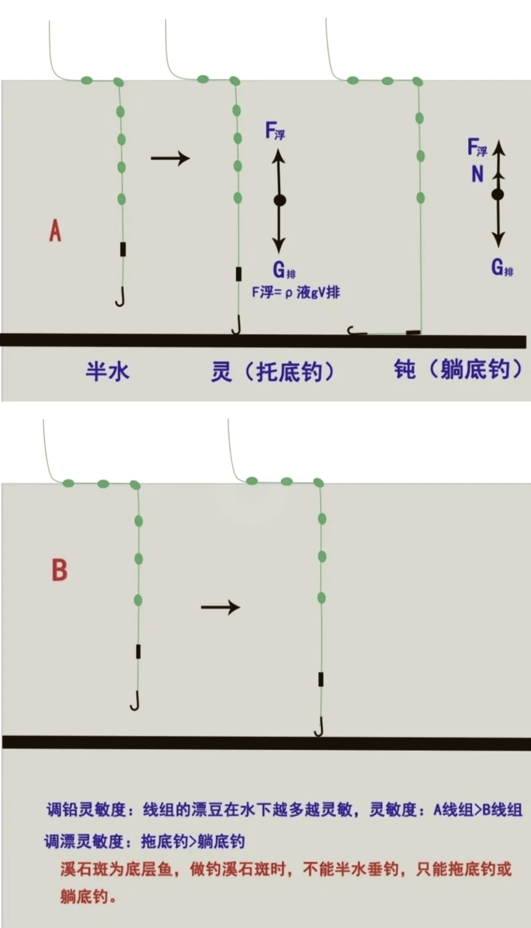 流水选钓位技巧(流水最佳钓法)