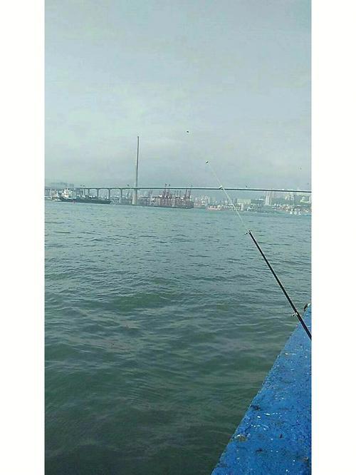 开车去北海钓鱼(北海出海钓鱼)
