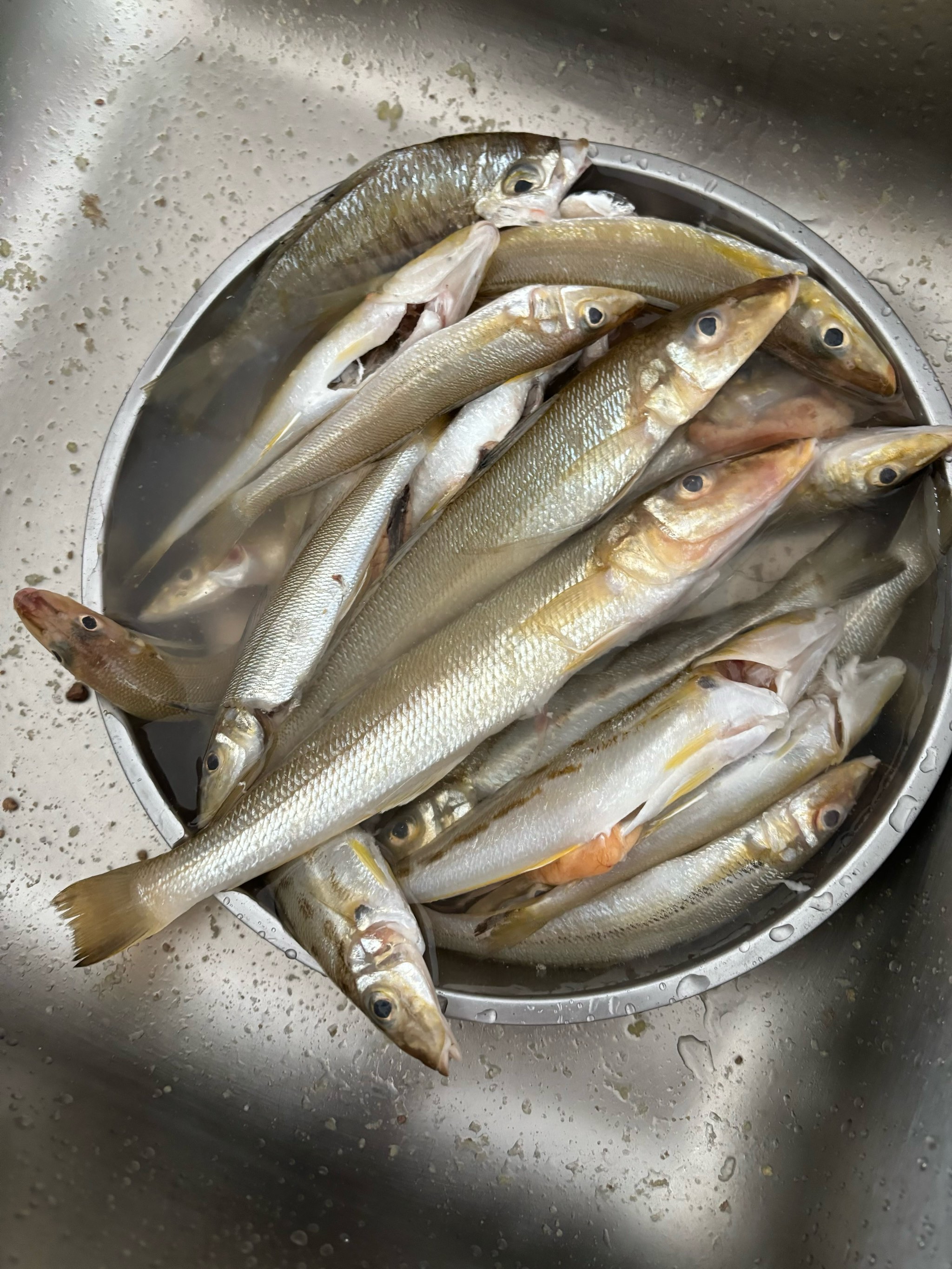 湛江南三海钓点(湛江免费赶海最佳地点)