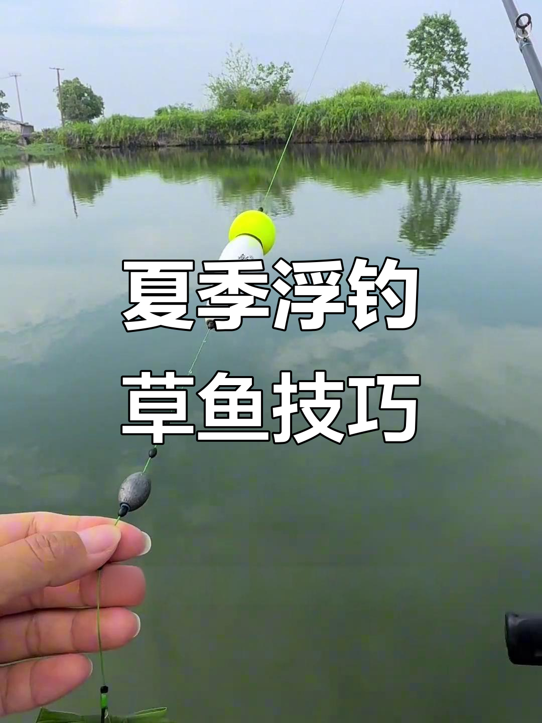 六月钓草鱼技巧(6月份水库钓草鱼技巧)