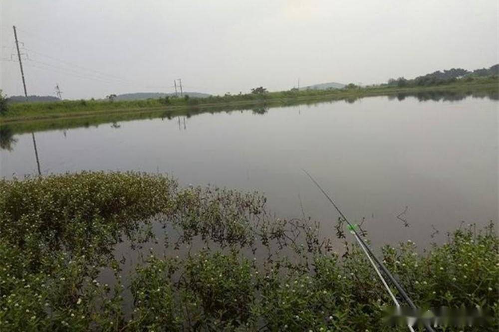 秋天下雨钓鱼技巧(秋天下雨的时候钓鱼好钓吗)
