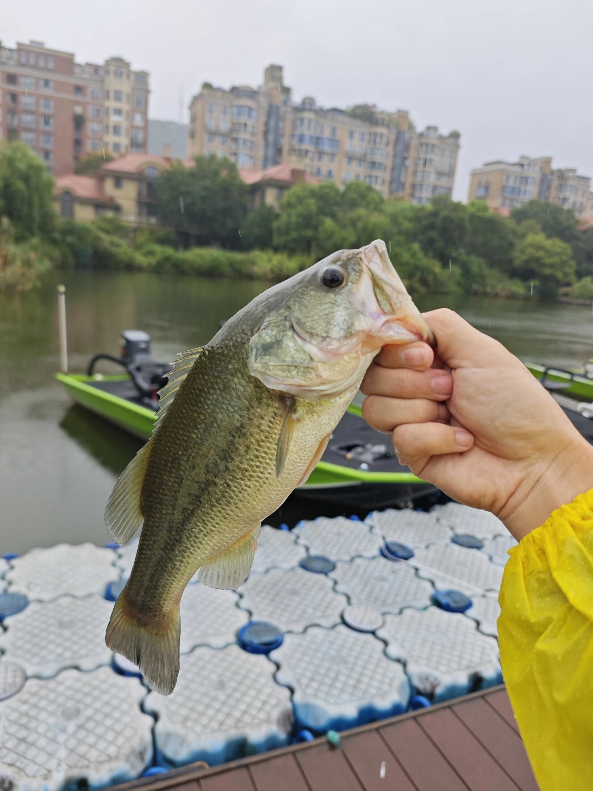 秋天下雨钓鱼技巧(秋天下雨的时候钓鱼好钓吗)