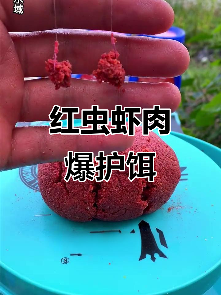 胜过红虫的饵料(胜过红虫的饵料怎么配)