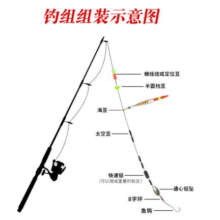 路亚钱如何安装(路亚怎么安装的)