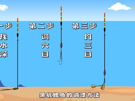 黑坑漂的调漂技巧(黑坑调漂技巧调几钓几视频)