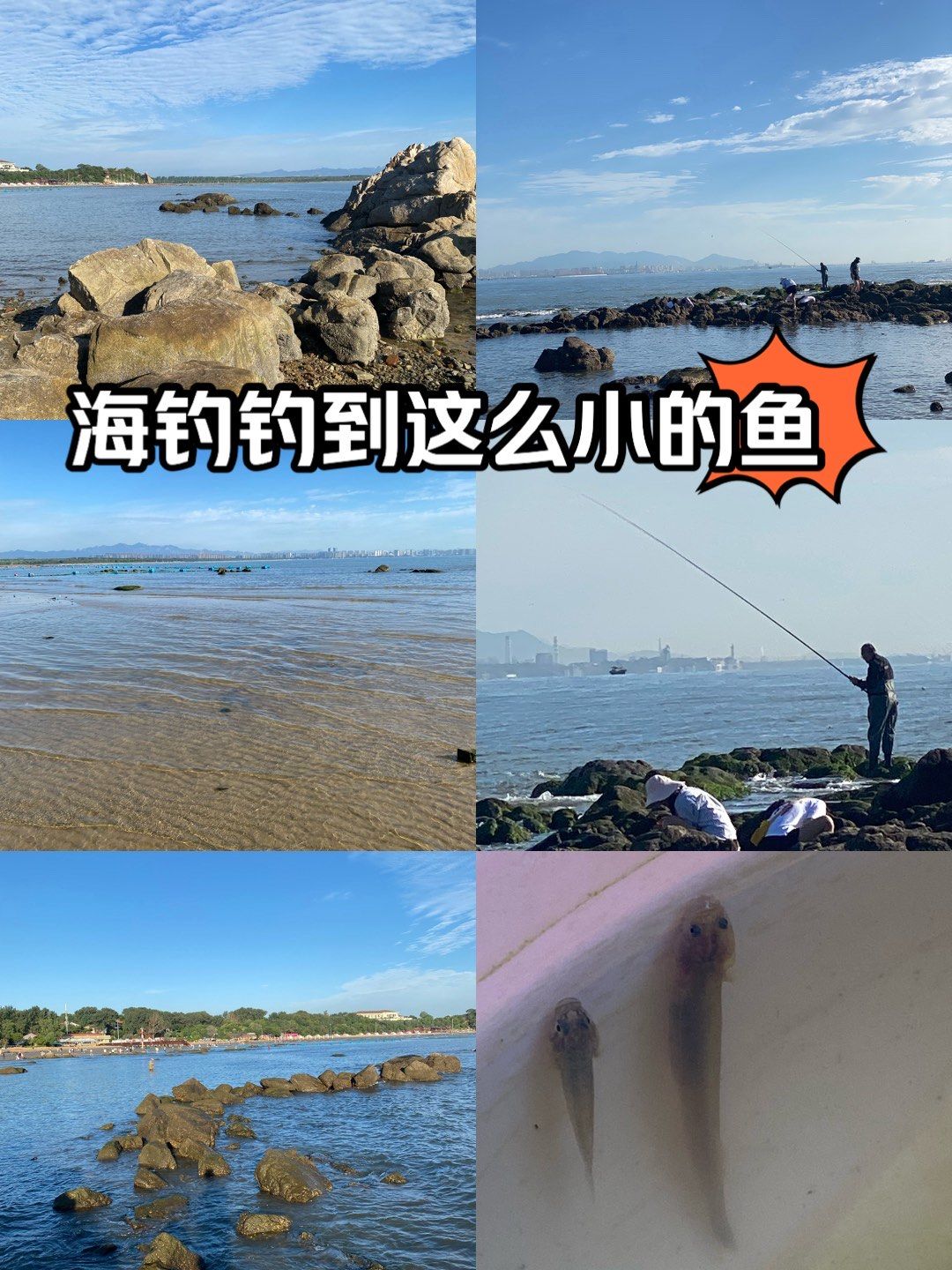 海钓小鱼太多(海钓钓大鱼)