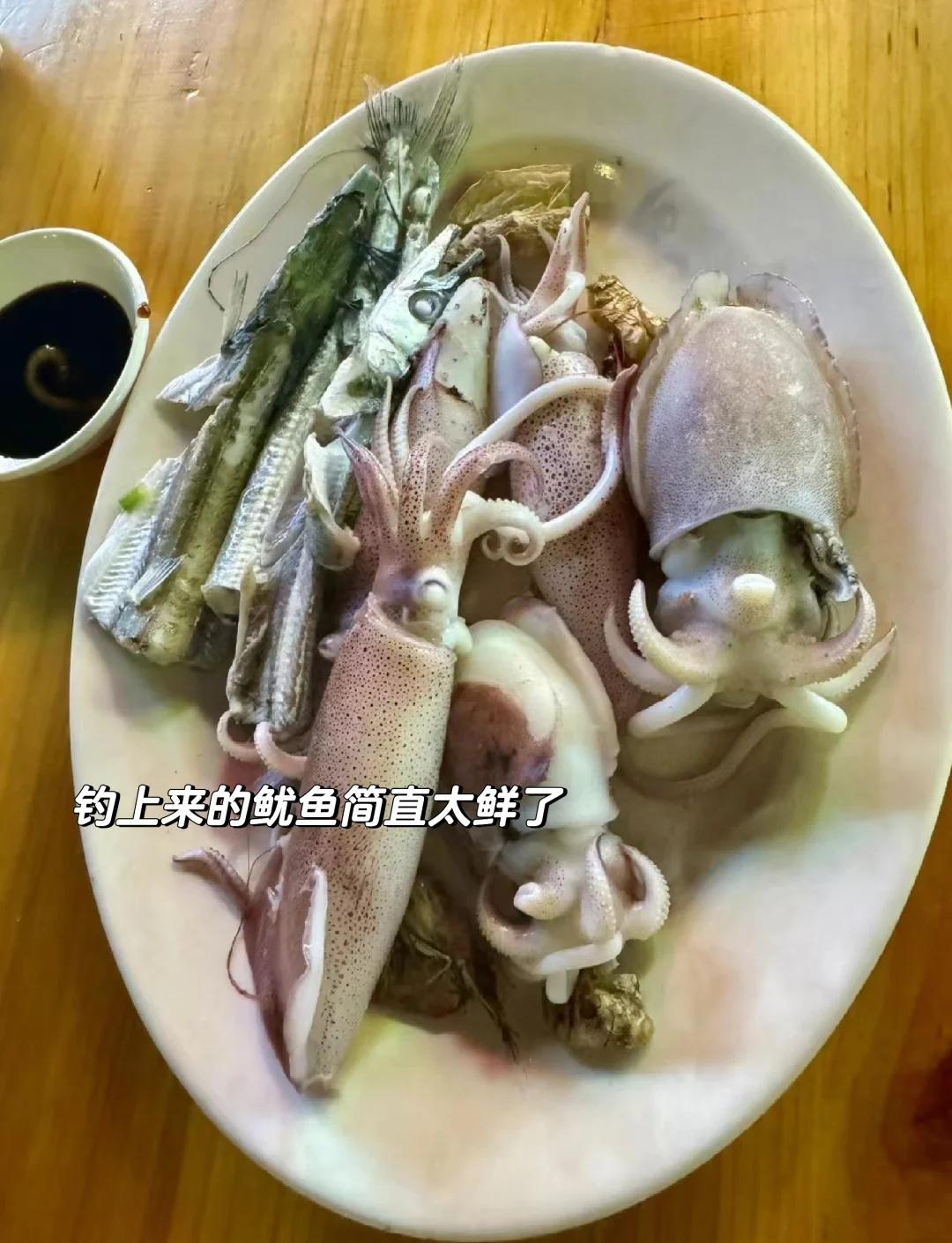 夜钓鱿鱼技巧(夜钓鱿鱼方法)