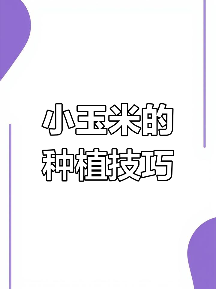 种包谷方法和技巧(种植包谷赚钱吗)