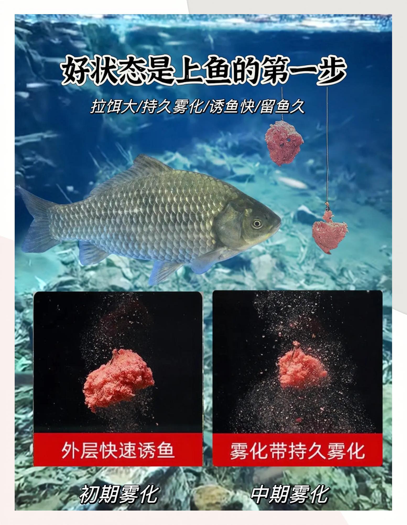 秋季鲫鱼饵料搭配技巧(秋季鲫鱼饵料推荐)