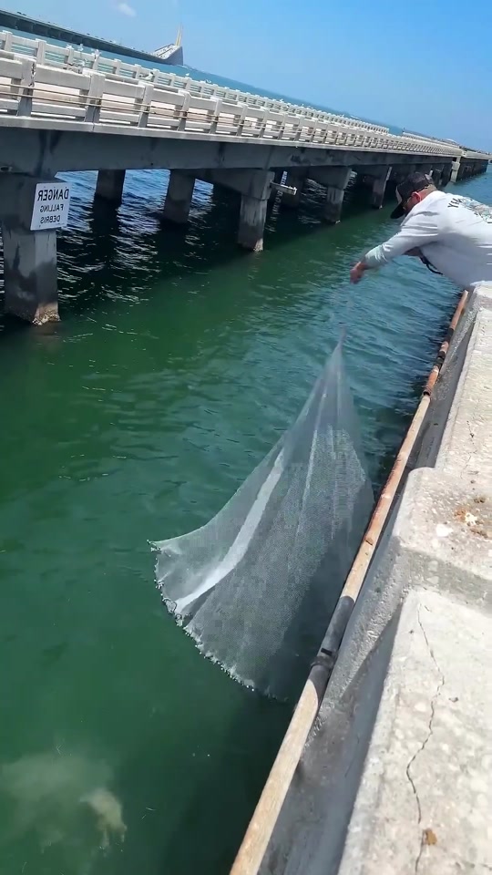 台风过后可以海钓吗(台风过后适合海钓吗)