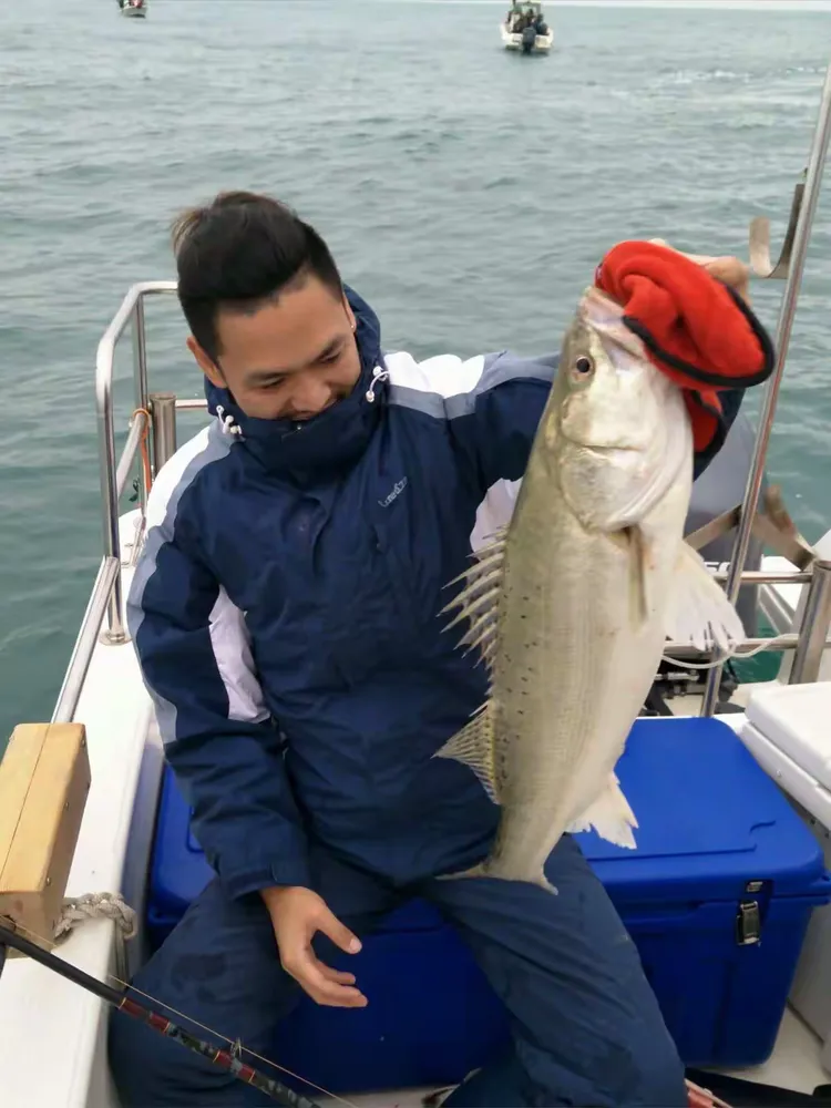 舟山海钓做证书(海钓钓鱼证怎么办理)