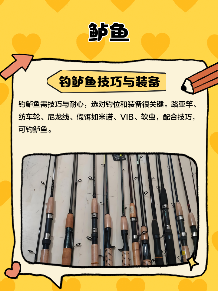 鱼排海钓鲈鱼技巧(渔排海钓怎样钓最好)