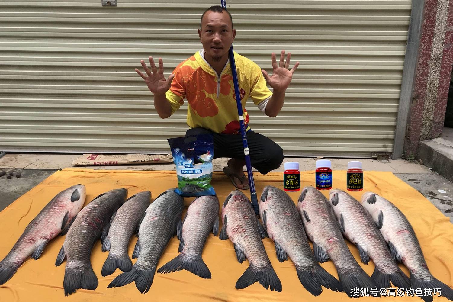黑坑青鱼打窝技巧(黑坑钓青鱼怎么打窝子)