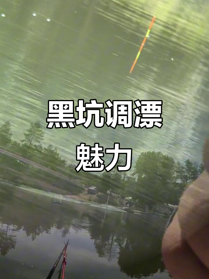 黑坑青鱼打窝技巧(黑坑钓青鱼怎么打窝子)