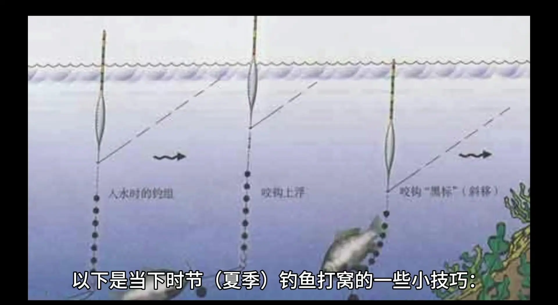 秋季野河钓鱼打窝技巧(秋季河里野钓用什么饵料)