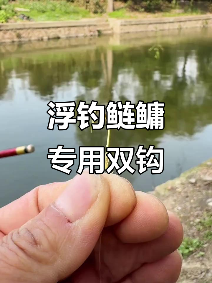 水库钓鱼打浮技巧视频(水库野钓打窝技巧)