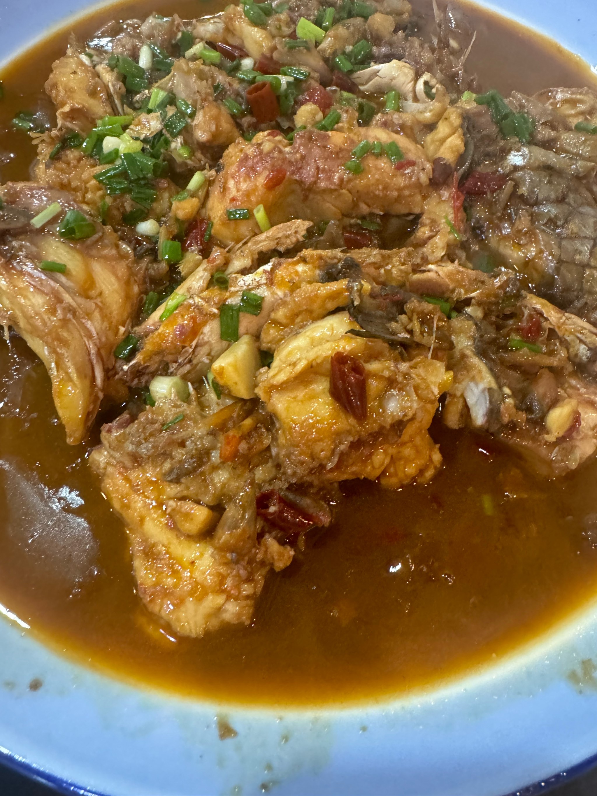 军鱼酒香型饵料(酒香方块饵料钓什么鱼)