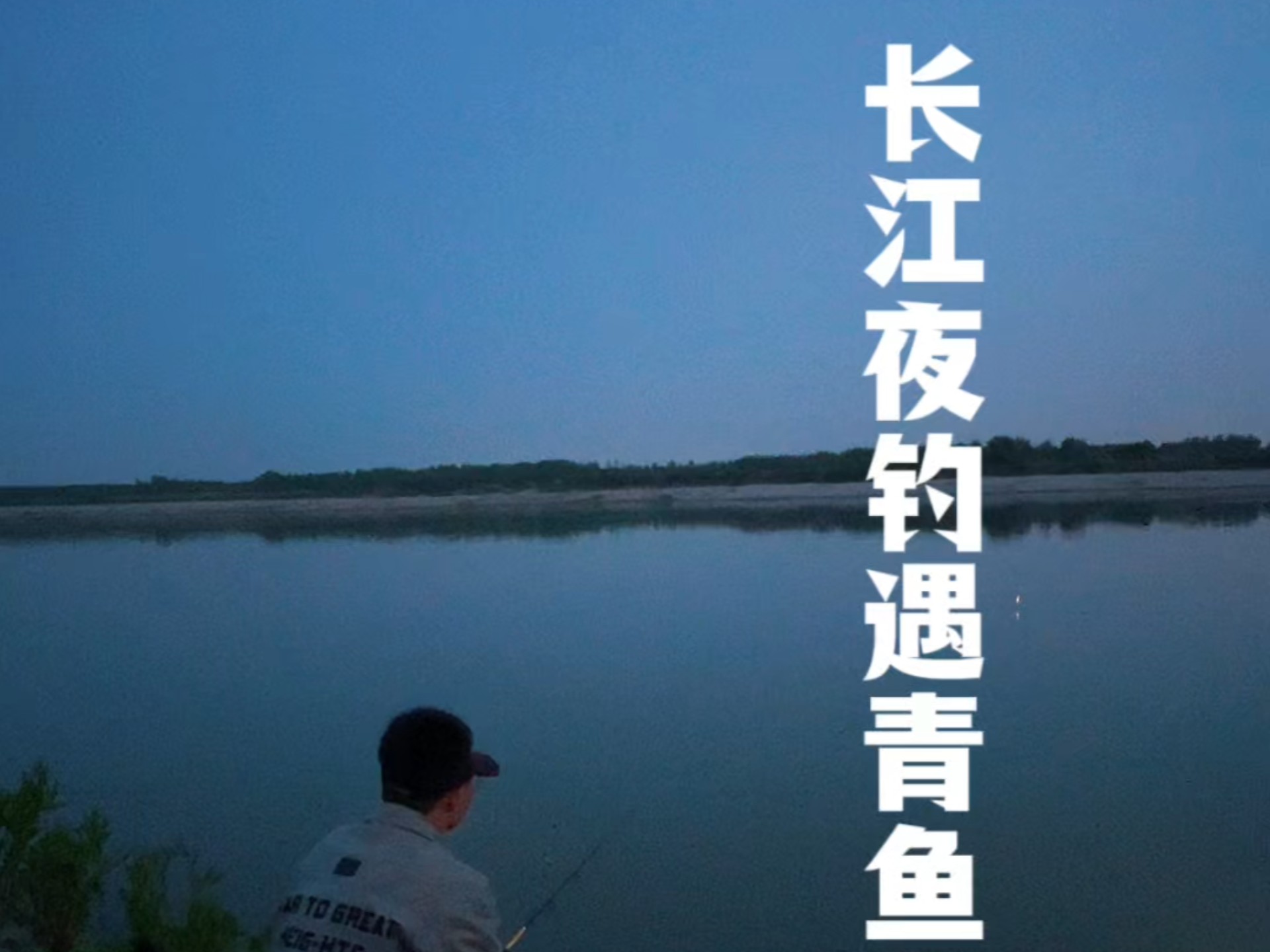 秋天夜钓青鱼技巧视频(秋季晚上钓青鱼)