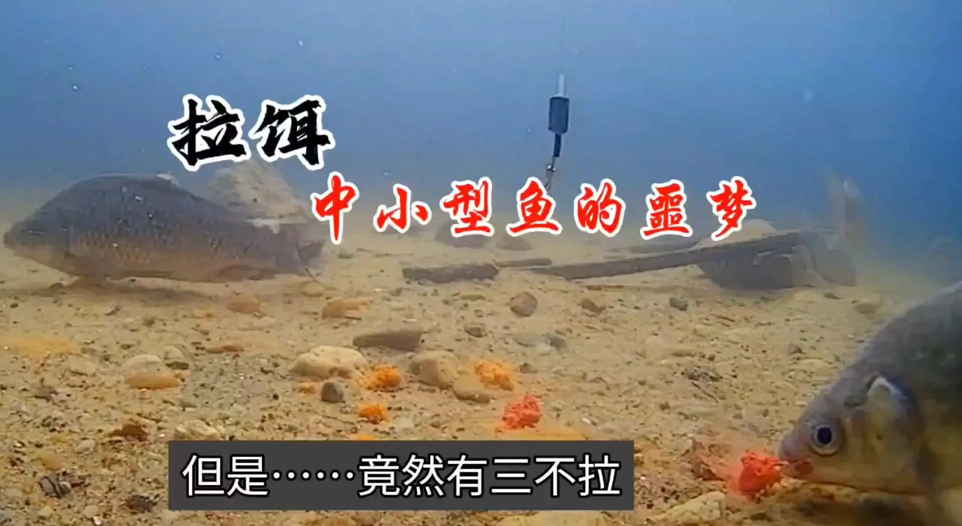 拉饵料钓鱼技巧(拉饵怎么钓)